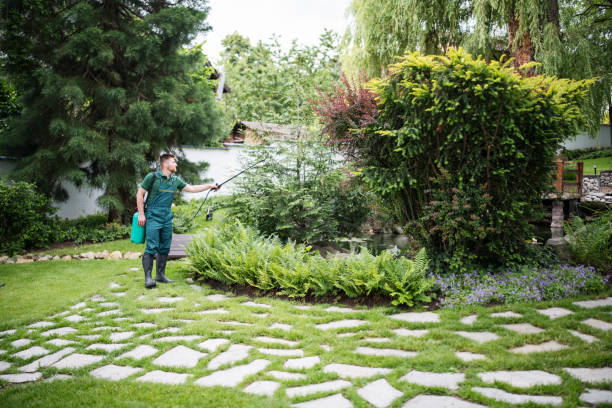 Best Pest Control Near Me  in Bayport, NY