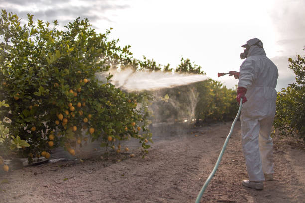 Best Best Pest Control Companies  in Bayport, NY