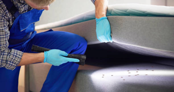 Best Flea Control Services  in Bayport, NY