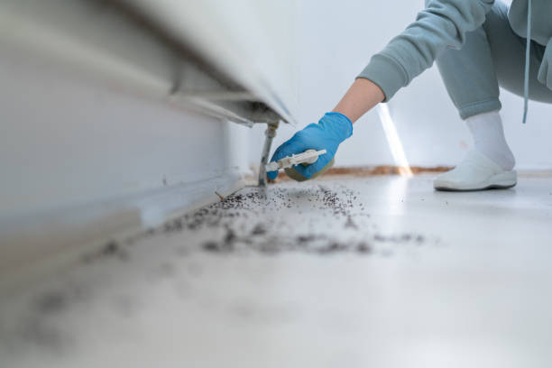 Best Emergency Pest Control  in Bayport, NY
