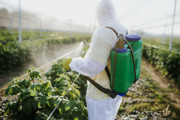 Best Commercial Pest Control Services  in Bayport, NY